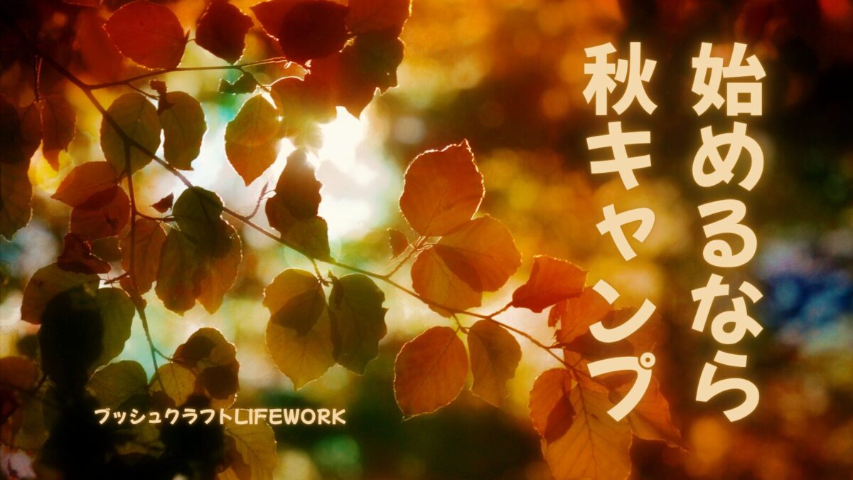 秋キャンプがベスト